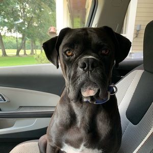 Meet your Posher, Lucy